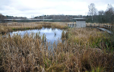 Skogsvaktarkrret