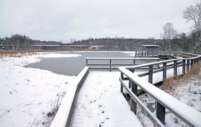 Skogsvaktarkrret den frsta vinterdagen