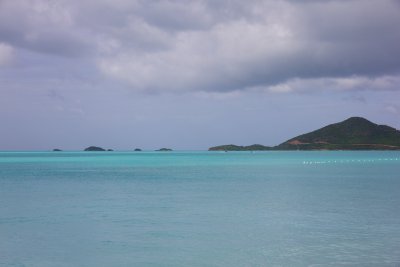 _MG_5495.jpg