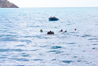 _MG_5691.jpg