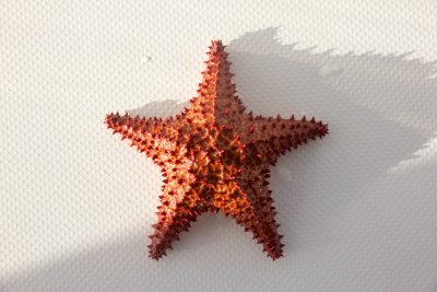 _MG_5728.jpg