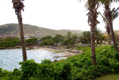 _MG_5855.jpg