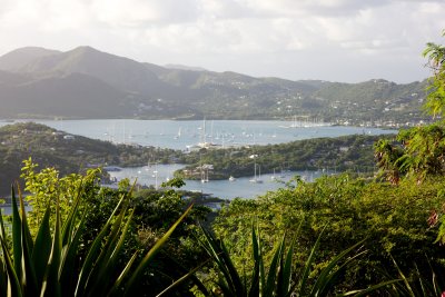 _MG_5886.jpg