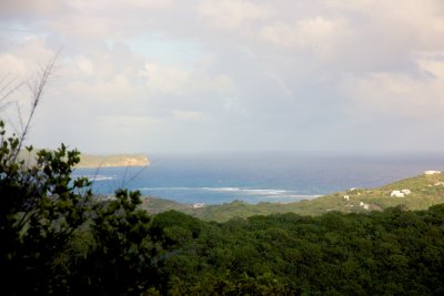 _MG_5928.jpg