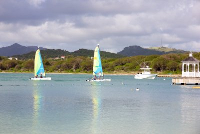 _MG_6101.jpg