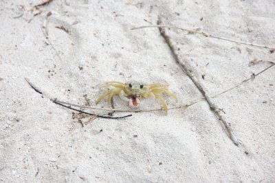 _MG_6937.jpg