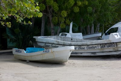 _MG_6942.jpg