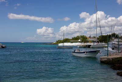 _MG_6954.jpg