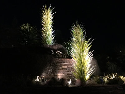 Desert Botanical Garden Lights 042416