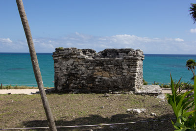 IMG_8774.jpg