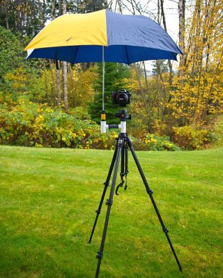 Tripod and Umbrella