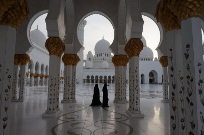 Sheikh Zayed Mosque