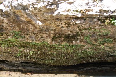 Stone
