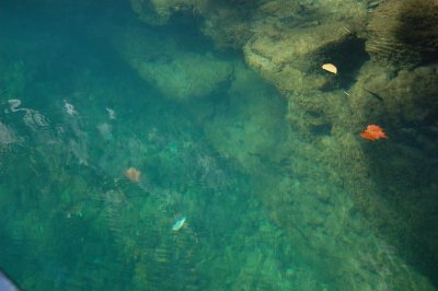 Green Water