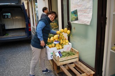 Amalfi