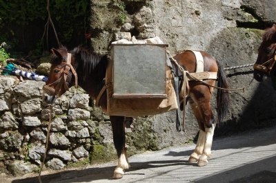 Amalfi