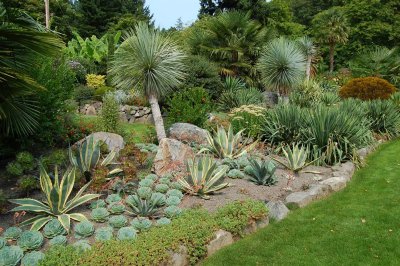 Butchart Gardens