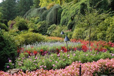 Butchart Gardens