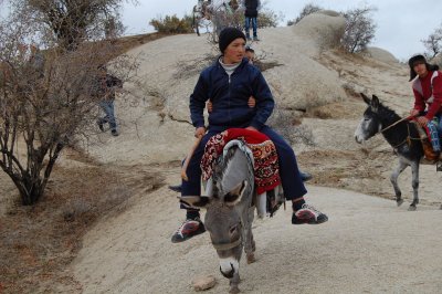 Local boys on a donkey