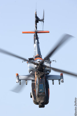 riat024.jpg