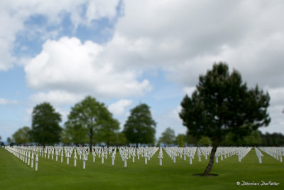 Normandy landings