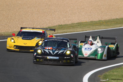 La course 2014