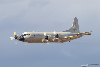 aire75-45.jpg