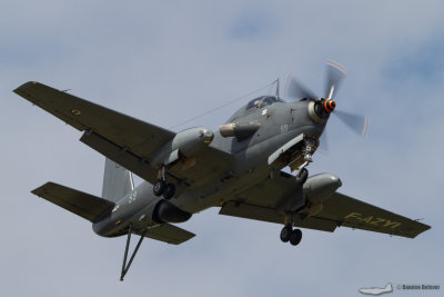 LFA16.jpg