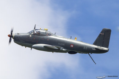 LFA19.jpg