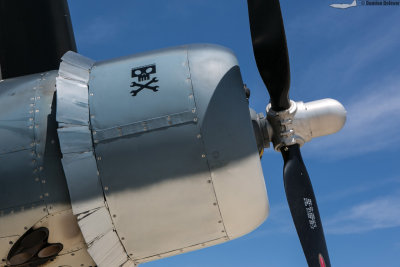 eaa15-002.jpg