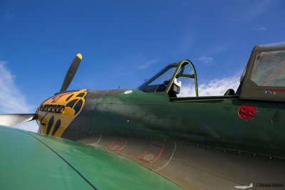 eaa15-013.jpg