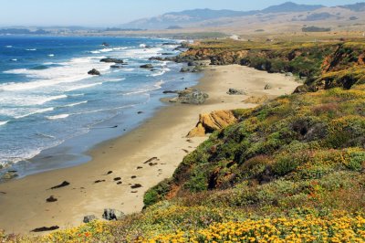 Morro Bay - La Selva