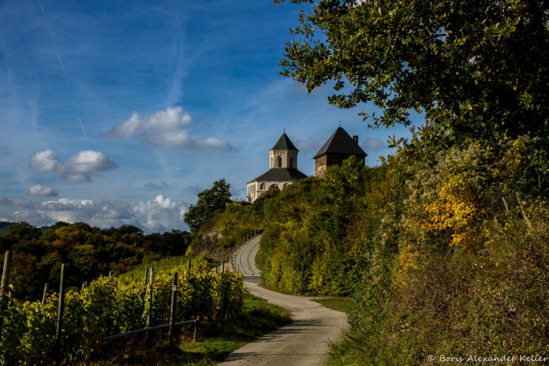 Vineyards and Chapel