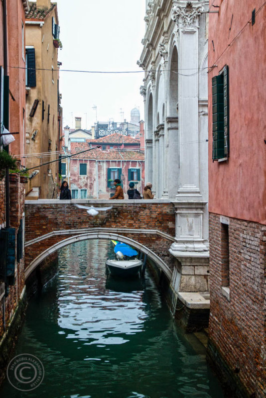 Bridges of Venice