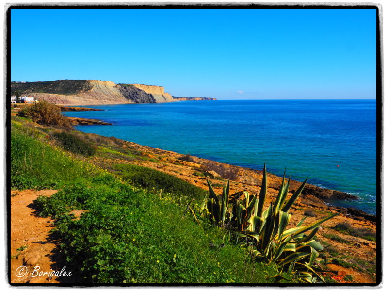 Spring in the Algarve