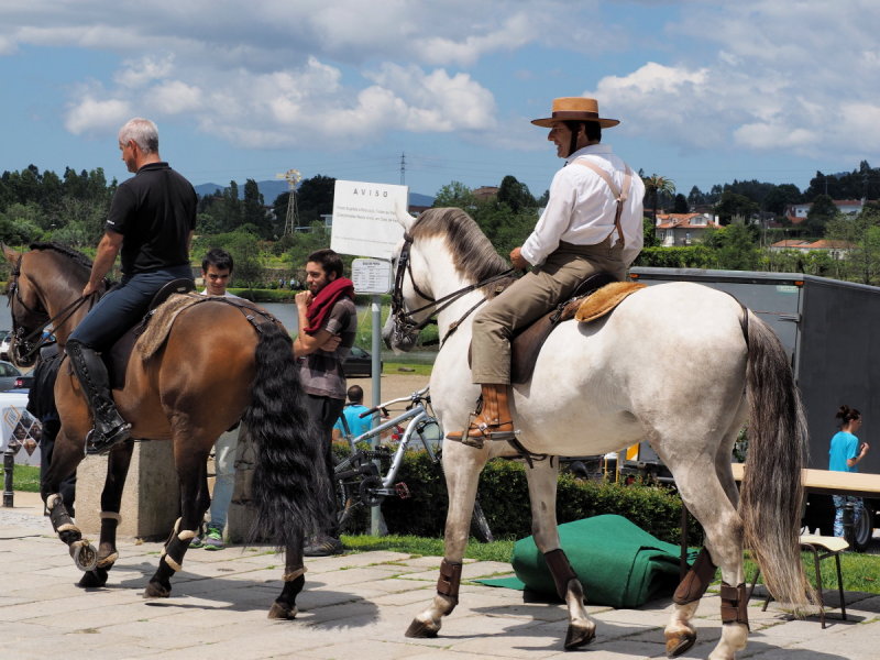 On horses