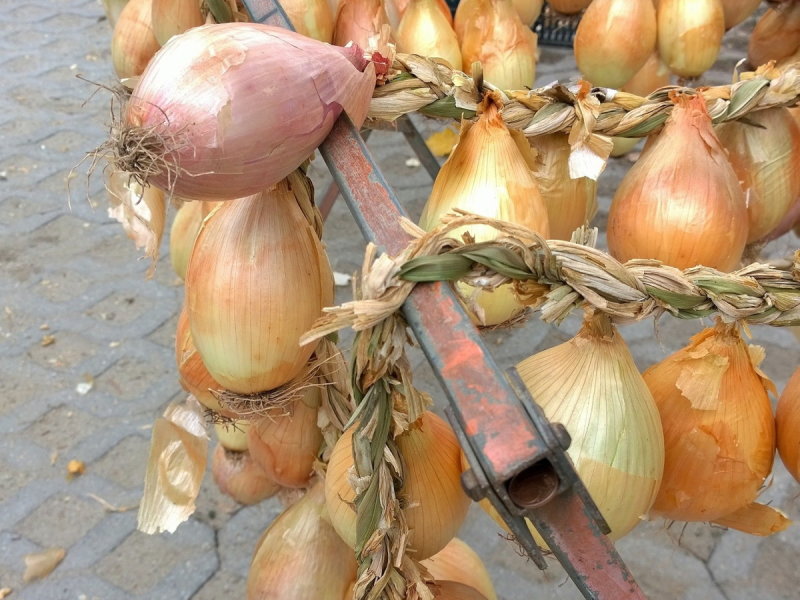 Sweet onions 