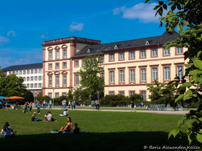 Heidelberg & Mannheim
