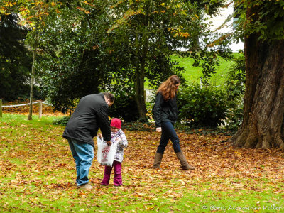 At the park 