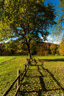 On the farm..