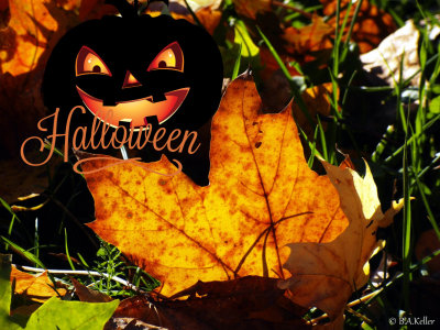 Happy Halloween