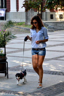 Walking the dog...