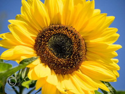 g9/57/738357/3/157073315.8XlK1F6p.jpg