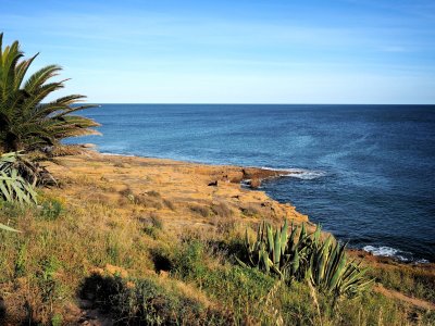 By the sea