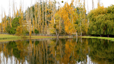 IMG_0279web.jpg