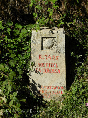 DSCN5751.jpg