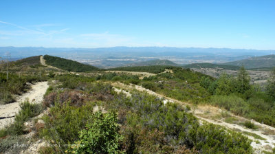 DSCN5172.jpg