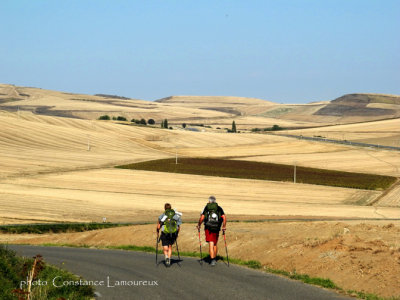 DSCN3663.jpg