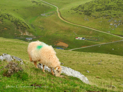 DSCN1072.jpg