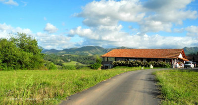 DSCN0937.jpg